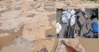 Novo Projeto - 2025-11-21T073859.946