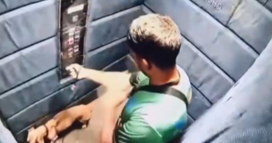 Novo Projeto - 2025-11-22T104602.027