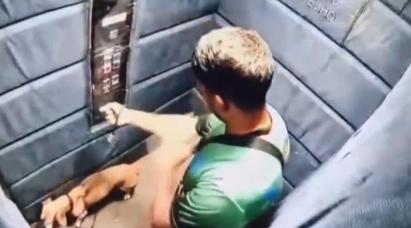 Novo Projeto - 2025-11-22T104602.027