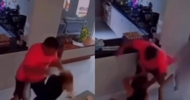 Novo Projeto - 2025-11-22T114423.013