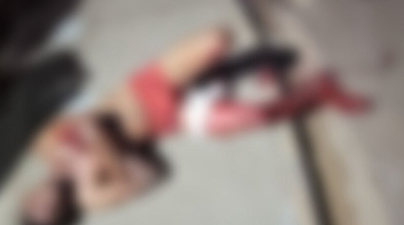 Novo Projeto - 2025-11-22T115909.622