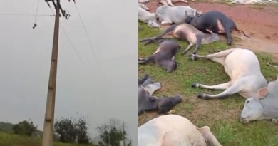 Novo Projeto - 2025-11-22T153558.754