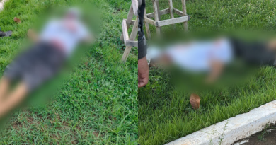 Novo Projeto - 2025-11-22T155209.849