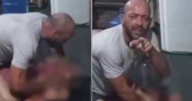 Novo Projeto - 2025-11-24T082833.010