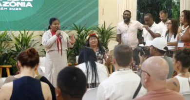 Novo Projeto - 2025-11-24T132031.608