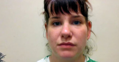 Novo Projeto - 2025-11-24T155827.479