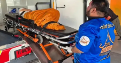 Novo Projeto - 2025-11-25T145042.481