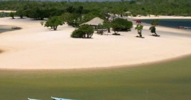 Novo Projeto - 2025-11-26T122300.133