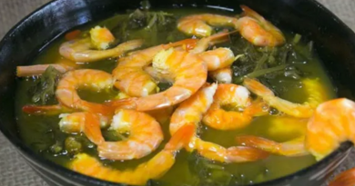 Novo Projeto - 2025-11-26T125150.471