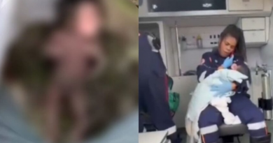 Novo Projeto - 2025-11-26T142740.298