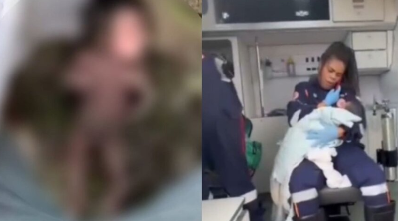 Novo Projeto - 2025-11-26T142740.298