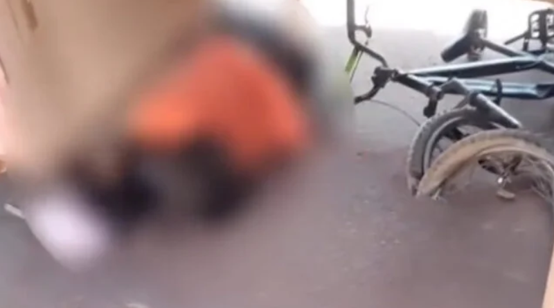 Novo Projeto - 2025-11-26T142926.271