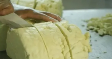 Novo Projeto - 2025-11-27T124655.842