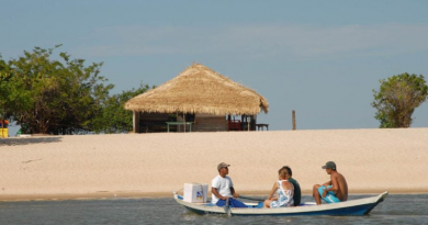 Novo Projeto - 2025-11-27T152616.976