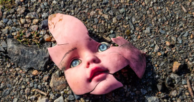 Novo Projeto - 2025-11-28T134111.983