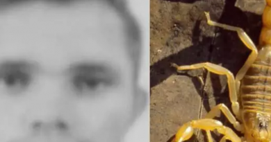 Novo Projeto - 2025-11-28T151050.180