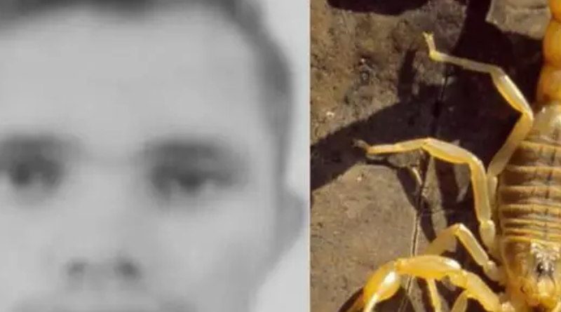 Novo Projeto - 2025-11-28T151050.180