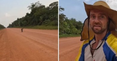 Novo Projeto - 2025-11-30T073402.540