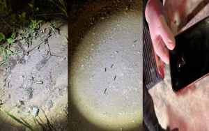 Foto: Reprodução/Polícia Militar