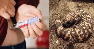 questao-do-enem-com-lagarto-do-ozempic-viraliza_00928381_0_