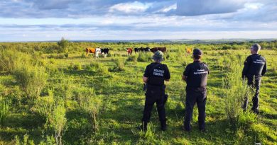 2d9a3c94-c5ea-4360-b72e-03bd985c030f