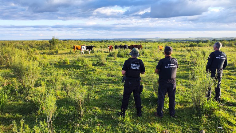 2d9a3c94-c5ea-4360-b72e-03bd985c030f