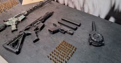 Armas e munição foram apreendidas — Foto_ Thiago Silva_g1 Minas