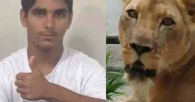 Novo Projeto - 2025-12-01T144732.724