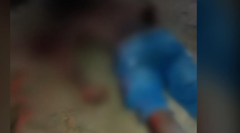 Novo Projeto - 2025-12-02T075826.831