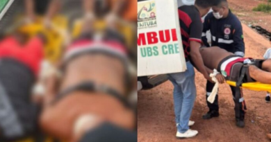 Novo Projeto - 2025-12-03T163551.550