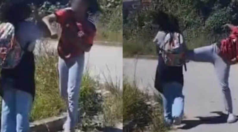 Novo Projeto - 2025-12-03T164316.608