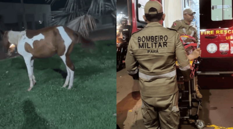 Novo Projeto - 2025-12-03T173816.229