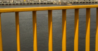 Novo Projeto - 2025-12-03T174112.340