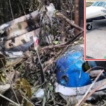 FAB derruba avião; “ex-delegado do tráfico’ estaria pilotando em MT