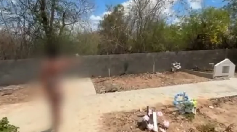 Novo Projeto - 2025-12-05T080956.183