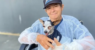 Novo Projeto - 2025-12-05T103239.110