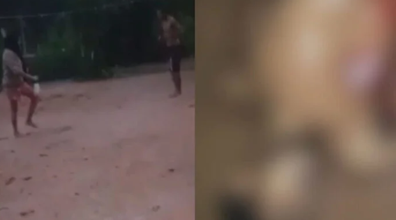 Novo Projeto - 2025-12-05T111213.513