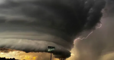 Novo Projeto - 2025-12-08T173903.273