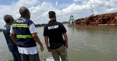 Novo Projeto - 2025-12-08T181215.778