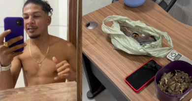 Novo Projeto - 2025-12-09T095609.545