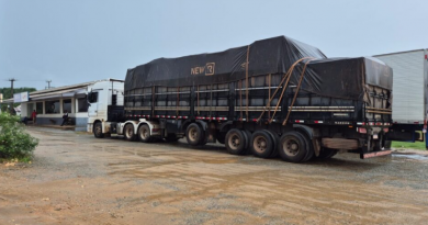 Novo Projeto - 2025-12-09T102839.010