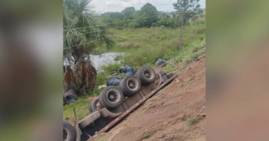 Novo Projeto - 2025-12-12T082856.717