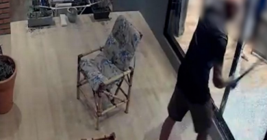 Novo Projeto - 2025-12-15T075536.035