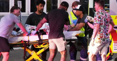 Novo Projeto - 2025-12-15T091443.506