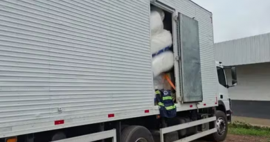 Novo Projeto - 2025-12-15T130403.039