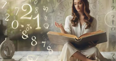 Novo Projeto - 2025-12-17T173033.053