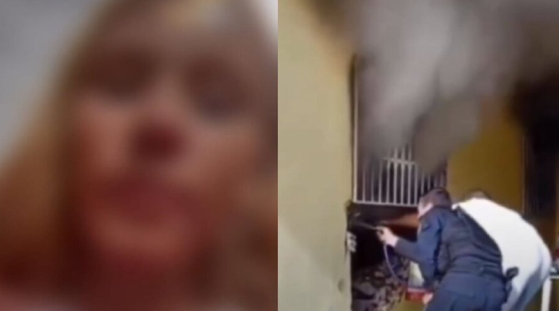 Novo Projeto - 2025-12-18T093402.387