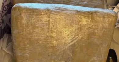 Novo Projeto - 2025-12-18T152230.233