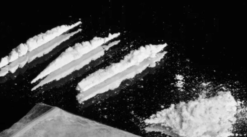 Novo Projeto - 2025-12-18T155409.214