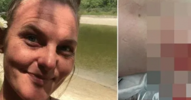 Novo Projeto - 2025-12-18T155758.252